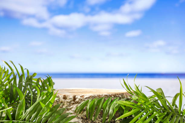 istock Wooden tree stump as a table background on a tropical beach with copy space. Product display montage inspiration. 2162402779