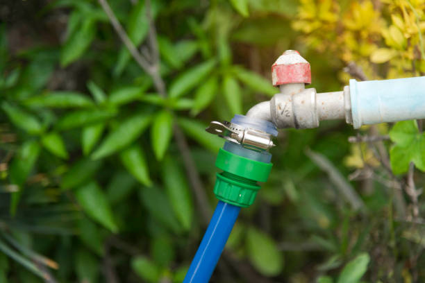 Plastic irrigation hose in a ornamental tropical garden