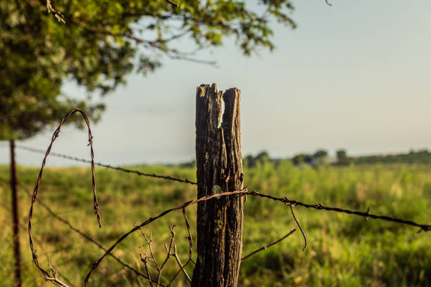 istock Old wooden pale in rusty barbed fence 2162407981