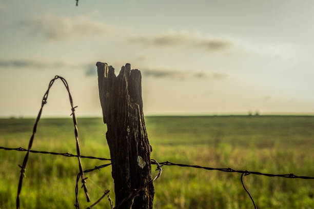 istock Old wooden pale in rusty barbed fence 2162407984