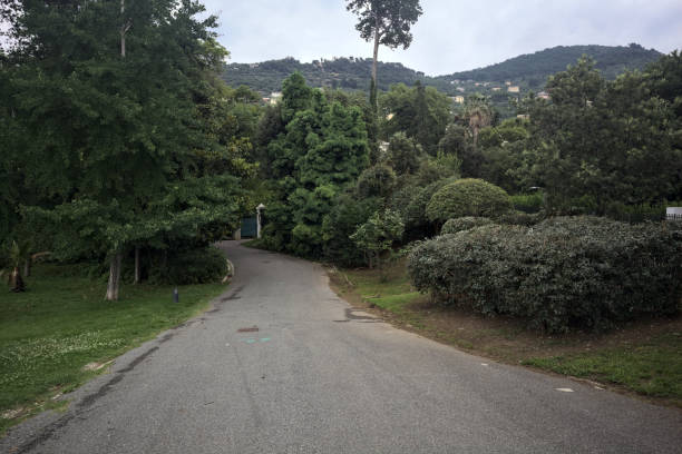 istock Path of a park on a cloudy day 2162408436