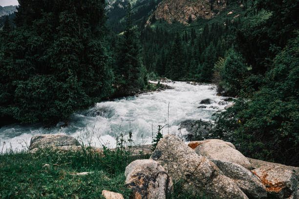 istock Forest mountain landscape with stormy stream in the grass 2162414111