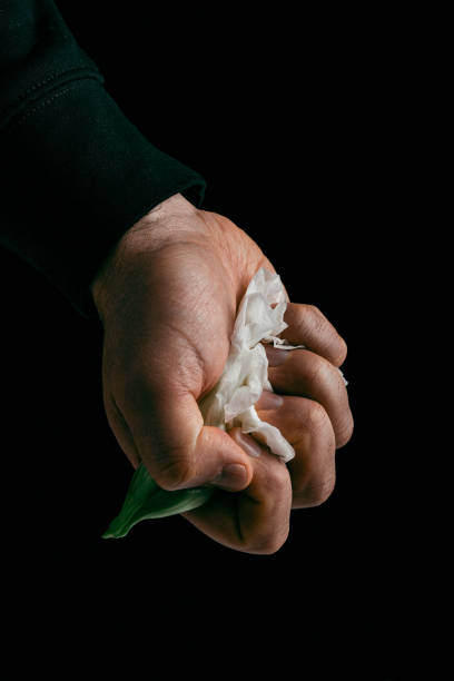 hand crumpling white fragile flower, metaphor of violence abuse aggression hand crumpling white fragile flower, metaphor of violence abuse aggression woman strangles man stock pictures, royalty-free photos & images