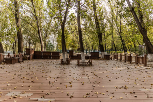 Wooden platform in autumn park with fallen leaves