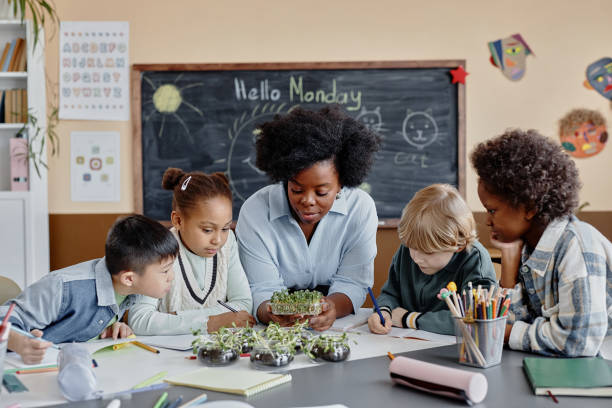 istock Exploring How Plants Grow at Biology Lesson 2162419596