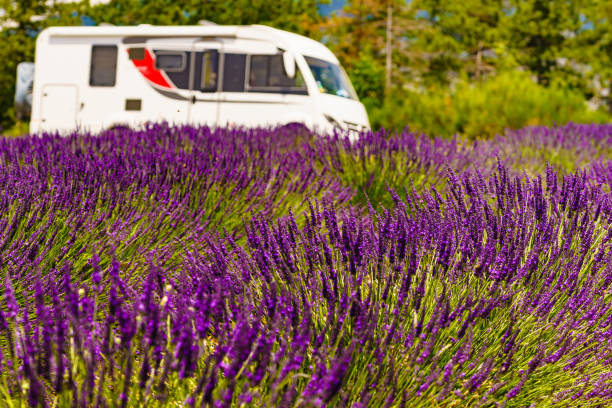 istock Caravan camping at lavender field, France 2162419764