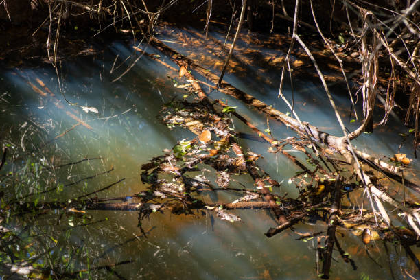 Environmental contamination in watercourses. Degraded environment. Pollution