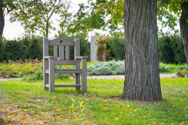 A gray garden chair under a tree in a park