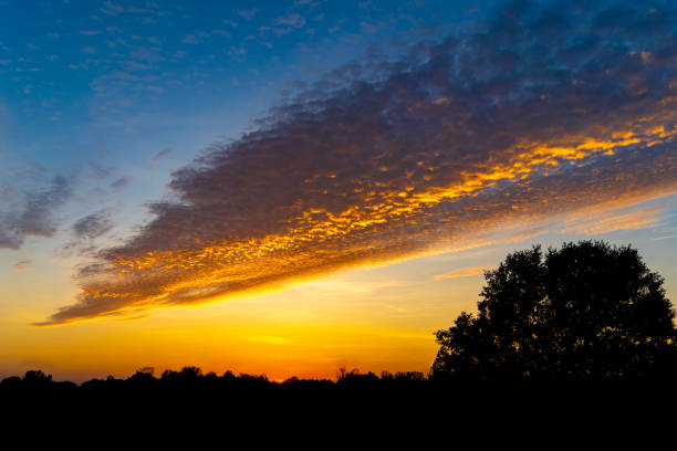 Specially shaped clouds illuminated with yellowish light at autumn sunset