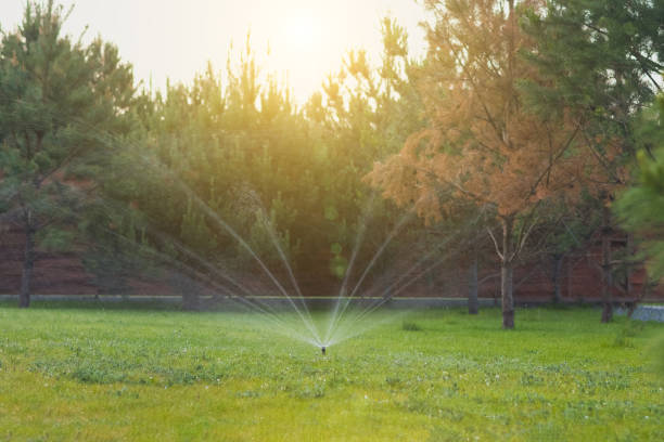 istock Automatic lawn watering system. Sprinkler, Water spashes on green grass. 2162425240