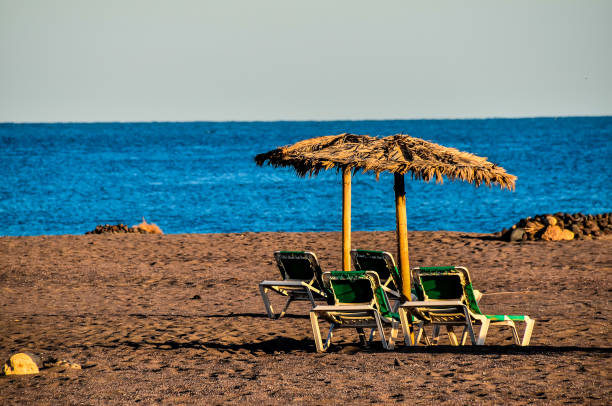 Beach bar with reed sunshades and sunbeds at sunset