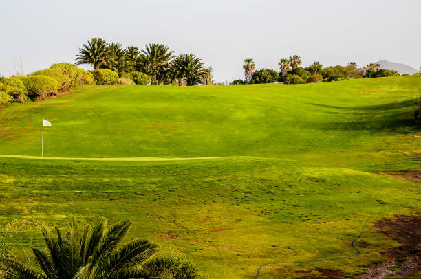 istock A golf course with a green hill and a flag on the ground 2162425537