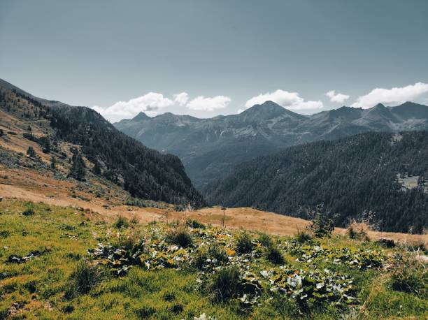istock Blue sky,  white clouds,  mountain peaks and meadow in alps 2162427581