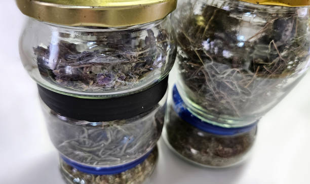 istock Dry culinary herbs and spices in glass containers. Selective focus. Kitchen background 2162428310