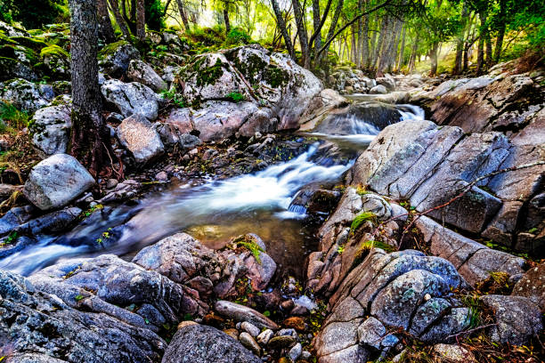 Rocks and vegetation at river Iruelas in Autumn time. Sierra de Gredos. Avila.