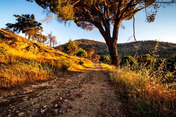 istock Path to the Garganta de La Pizarra 2162429042