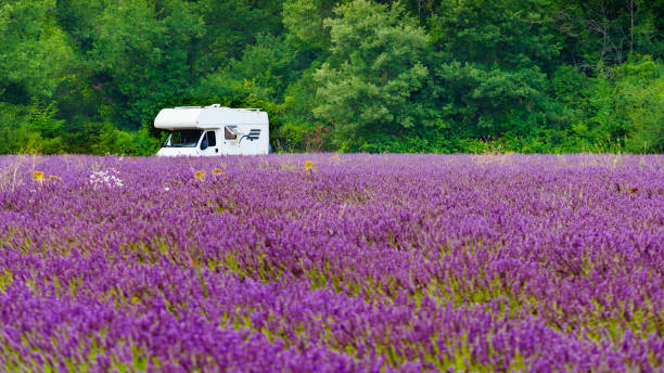 istock Caravan camping at lavender field, France 2162429335