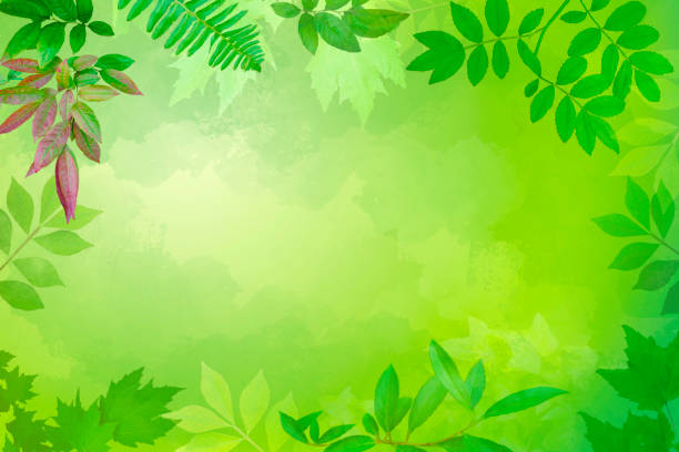 istock Watercolor Background with Leaves Border - Spring  and Summer - copy space 2162429759