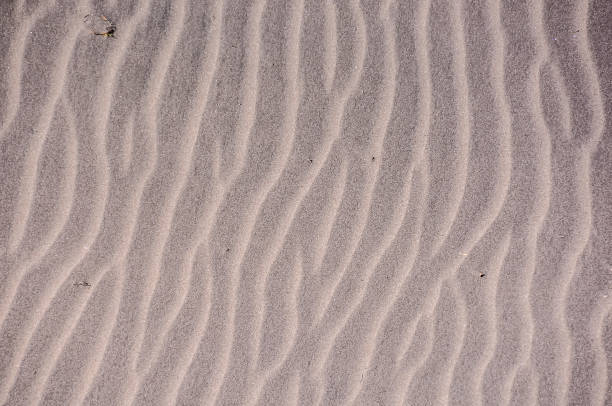 istock The image is of a sandy beach with a wave pattern 2162431155