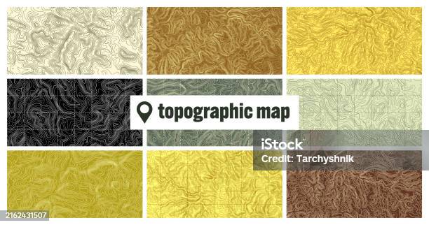 Topographic Layout Colorful Topographic Map With Contour Lines Geographic Terrain Grid ...