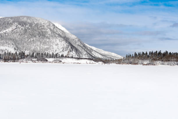 Canadian Rockies National Park in winter. Alberta, Canada. Forest and snowy mountains. Blue sky and white clouds in the background.