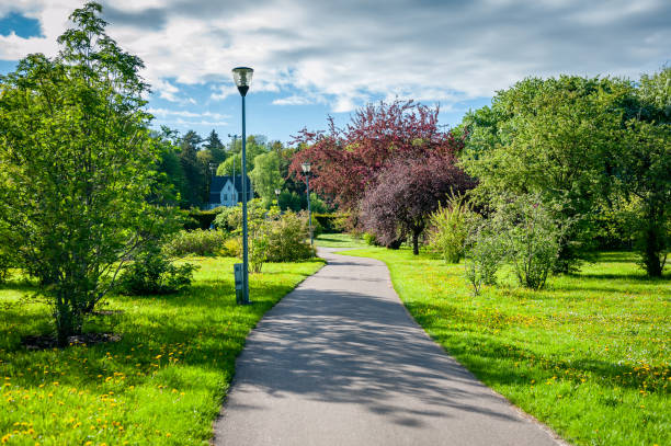 istock Peaceful pathway leading through a botanical garden filled with lush green trees and plants. 2162435355