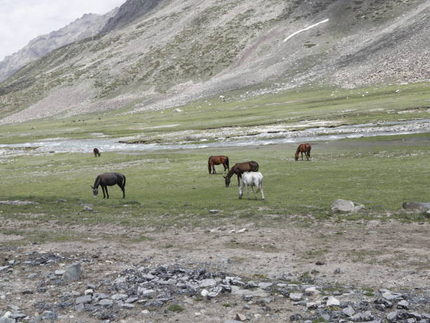 istock Mountainous landscapes 2162437938