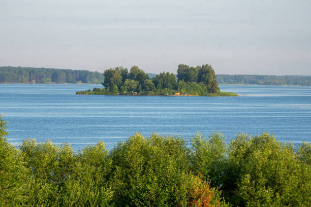 Aerial view of Danish nature. Group of beech trees on small island