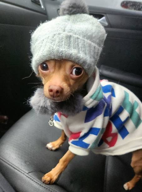 Baby Yoda