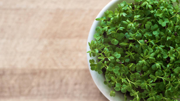 istock Top view microgreen sprouts in a white bowl. 2162441521