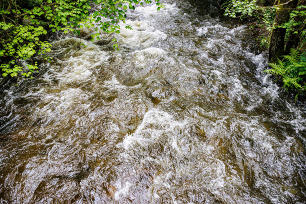 River brimming with rainwater in Warche Valley, view from high perspective, fast flowing water stream among abundant wild vegetation, cloudy and rainy summer in Waimes, Belgium