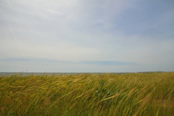 istock Seaside Morning on the Black Sea 2162445482