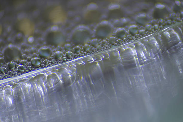 istock macro photography background with bubbles and light refraction 2162445513
