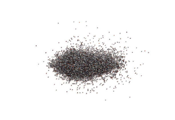 istock Poppy Seed, Blue Poppyseed Pile, Small Culinary Grains, Tiny Seeds, Oilseed Sprinkles 2162445757