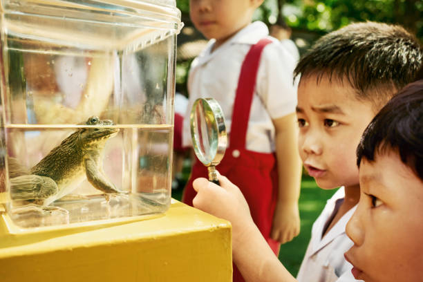 istock Elementary school boys observing a frog in glass jar using magnifying glass 2162447024
