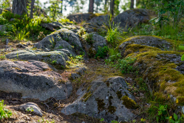 istock Stones with moss in the forest 2162447893