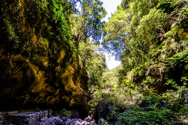 istock Valley in the Canary Islands 2162448365