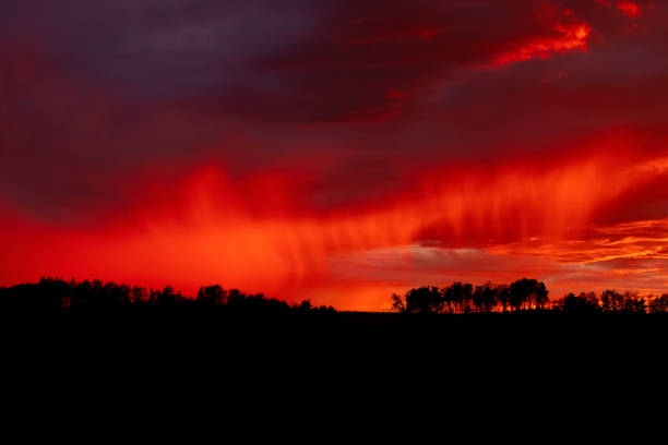 Clouds and horizon under dark sky