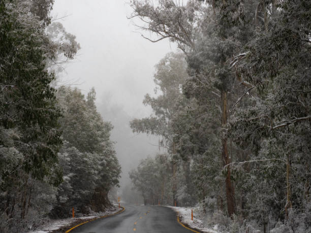 The Great Alpine road up to Mount Hotham on a snow day