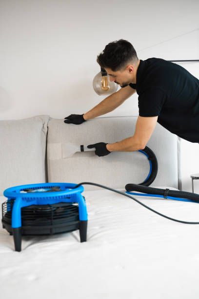 istock Cleaner is washing off sofa cushions with extractor and drying soft upholstered headboard of the bed. Dry cleaning of home furniture with extractor. Using dryer to remove wet spots on bed. 2162457967