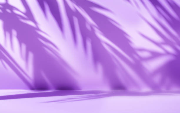 istock Minimalist Abstract Purple Room for product presentation, Tree Shadows Falling on the Room 2162458334