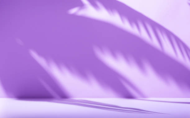 istock Minimalist Abstract Purple Room for product presentation, Tree Shadows Falling on the Room 2162458341