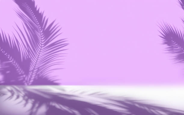 Minimalist Abstract Purple Room for product presentation, Tree Shadows Falling on the Room (close-up)