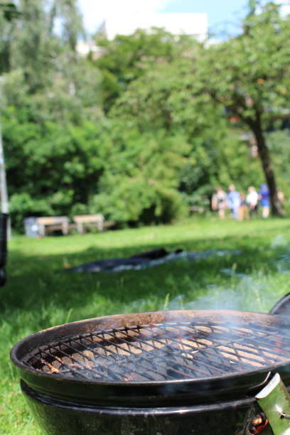 istock Grill in the Park 2162461561