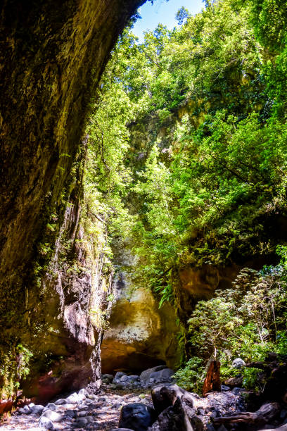 istock Valley in the Canary Islands 2162469275