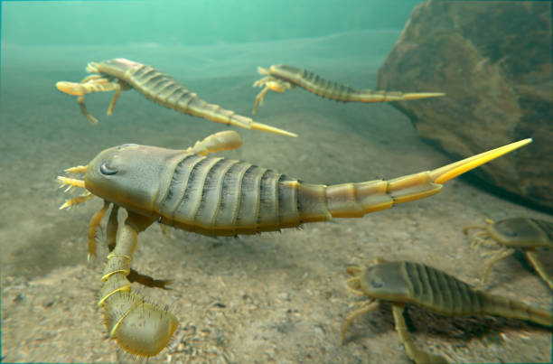 Eurypterids Swimming on Silurian Seafloor