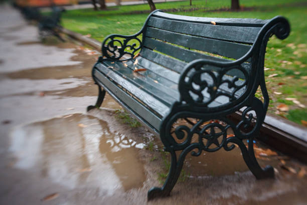 A wood bench with iron ornate details, Parque de Los Reyes, downtown Santiago de Chile