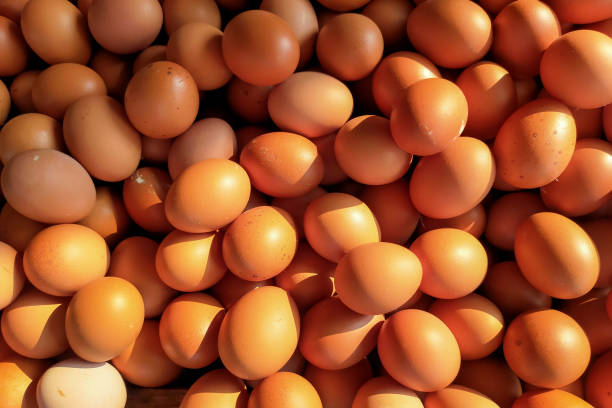 istock organic egg texture and background.  Raw chicken eggs.  pile of raw chicken eggs 2162471582