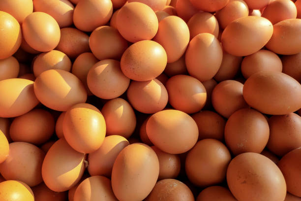 istock organic egg texture and background.  Raw chicken eggs.  pile of raw chicken eggs 2162471593