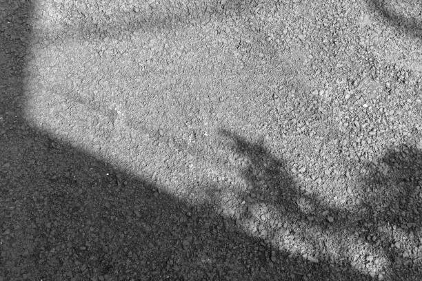 Shadows of wires and leaves on rough asphalt road.